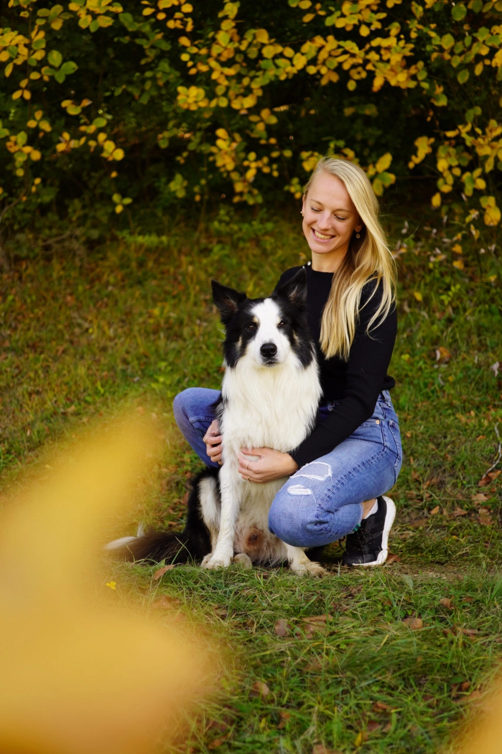 Hund Anja Baum