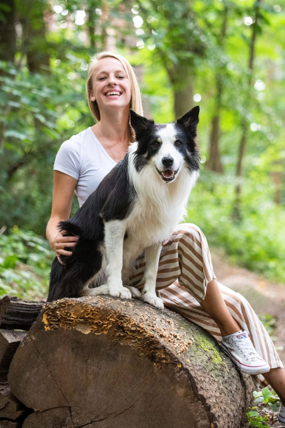 Hund Anja Baum