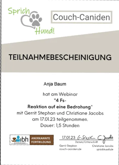 Ausbildung Anja Baum