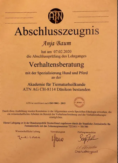 Ausbildung Anja Baum