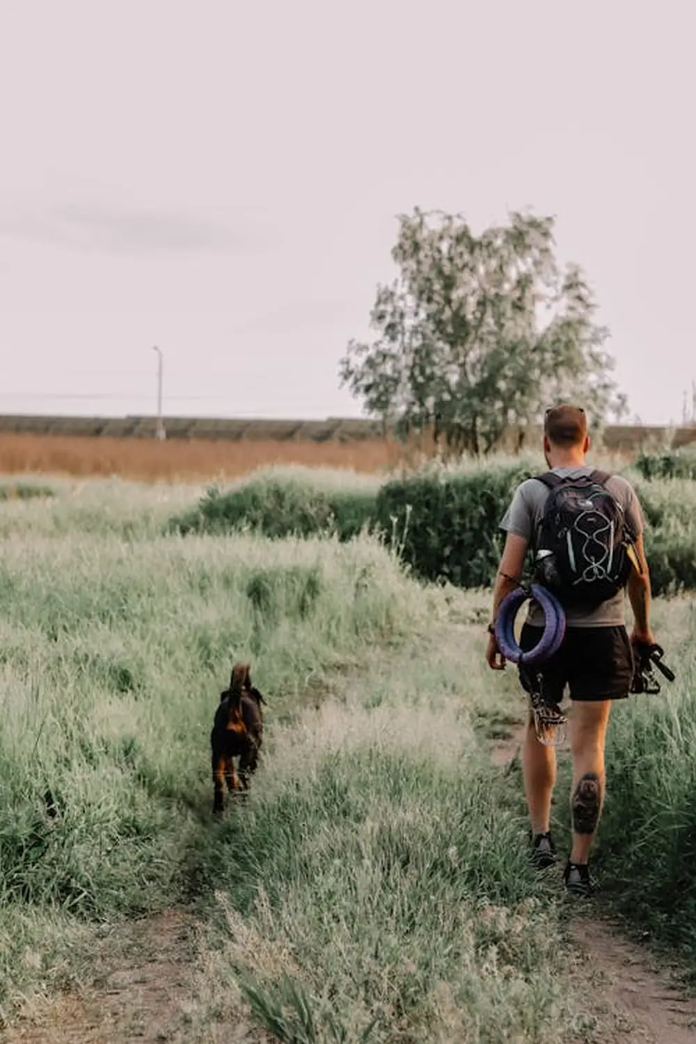 Wanderungen Anja Baum